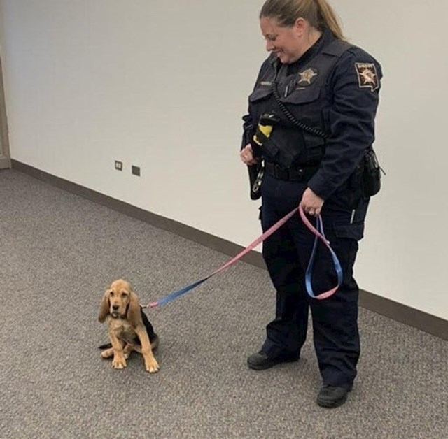 Ovo je Hope, novi pas koji će pomagati jednoj policijskoj postaji