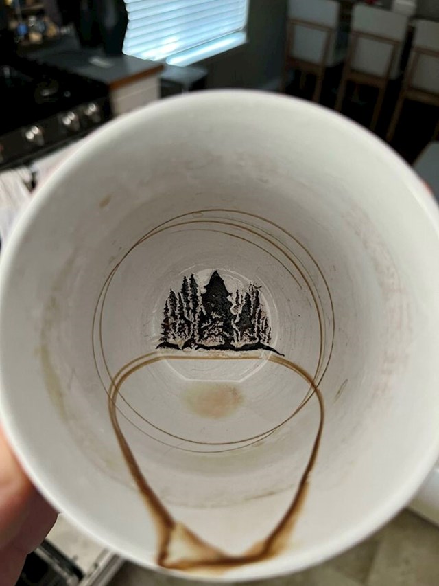 Ostaci kave u ovoj šalici izgledaju kao borova šuma