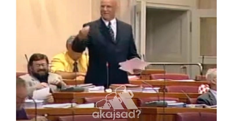 Fora s Ljubom Ćesićem Rojsom i zadnjom sezonom Stranger Thingsa hit je na Fejsu, urnebesna je!