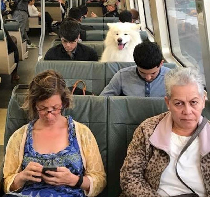 2. Da ne kasni na posao možda?