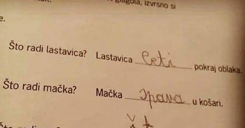 Klinac je nasmijao Hrvatsku odgovorom u školskom zadatku, danas nećete pročitati ništa smješnije