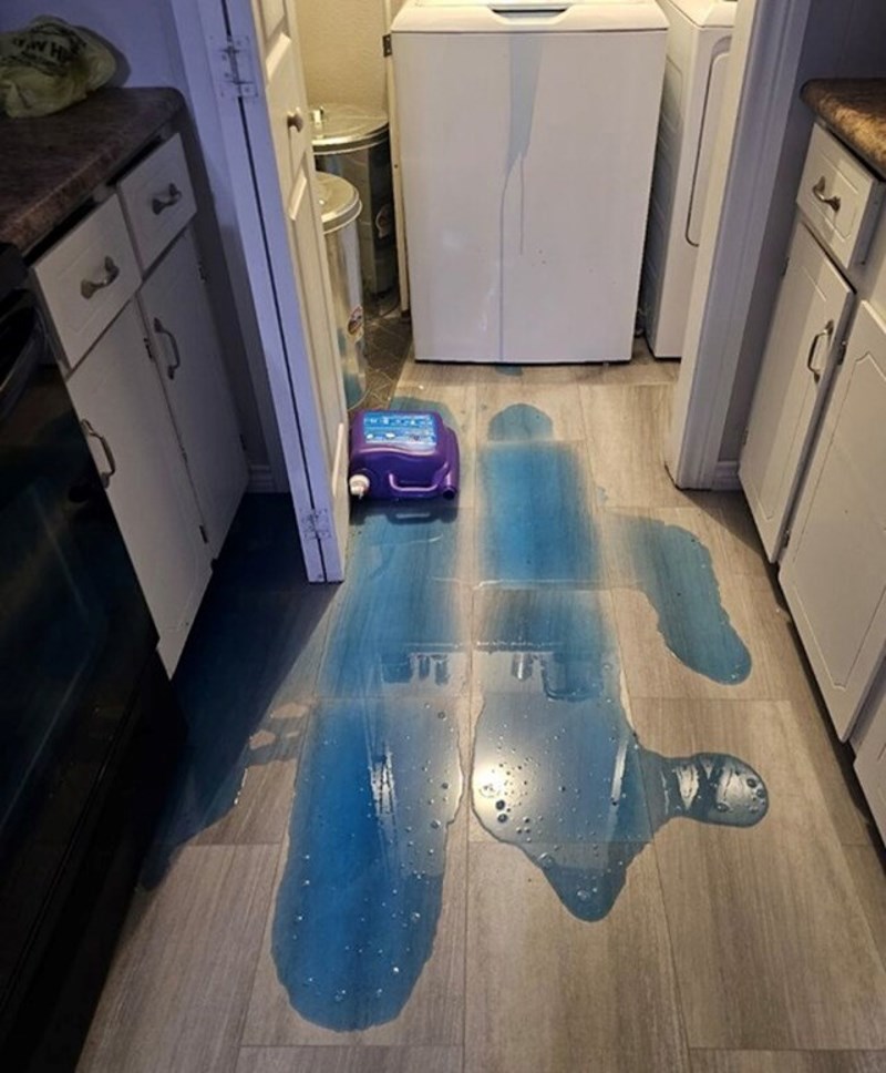 Ovo će biti dobar dan, predosjećam!