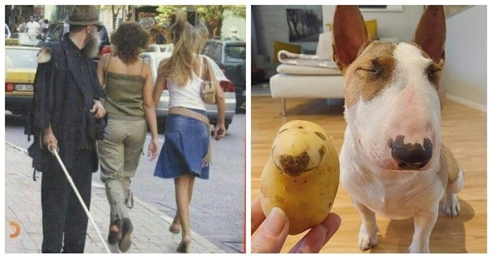 11 smiješnih prizora koji će vam momentalno popraviti dan, svaki je bolji od prethodnog