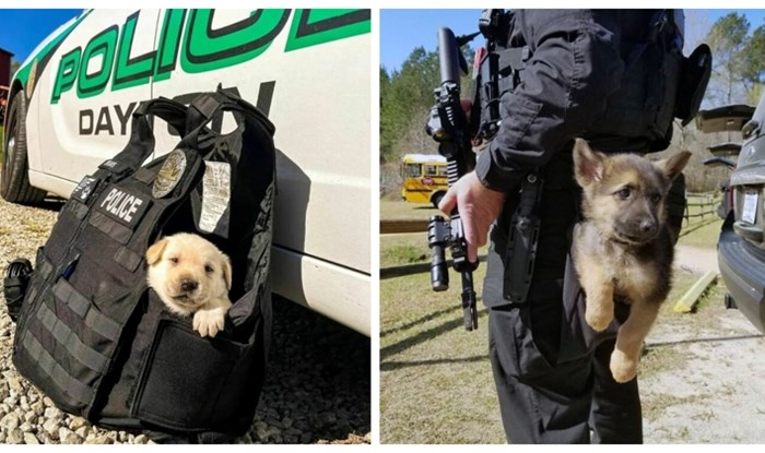 20+ preslatkih psića na prvom danu obuke za policijske pse, ovo je najslađa galerija ikad!