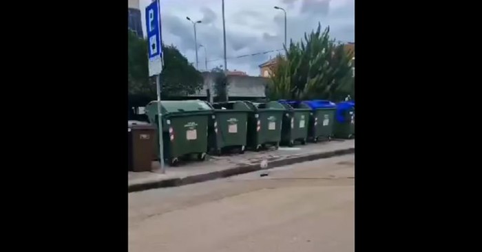 Brutalno smiješan prizor iz Zadra totalni je hit na Fejsu, morate vidjeti s čim se zaigrao galeb