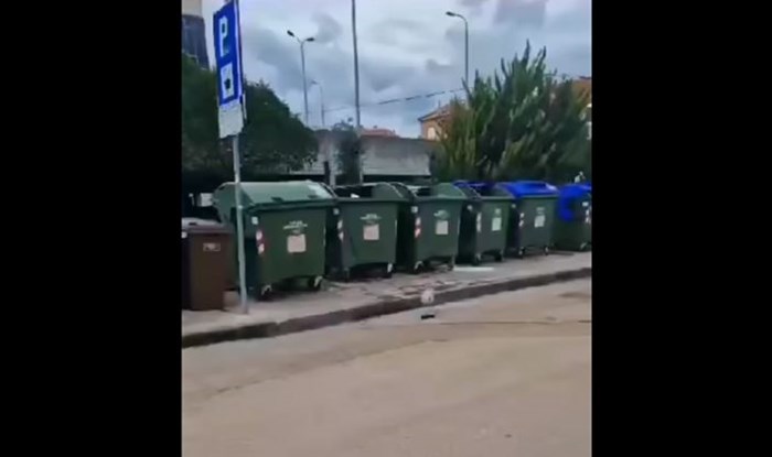 Brutalno smiješan prizor iz Zadra totalni je hit na Fejsu, morate vidjeti s čim se zaigrao galeb