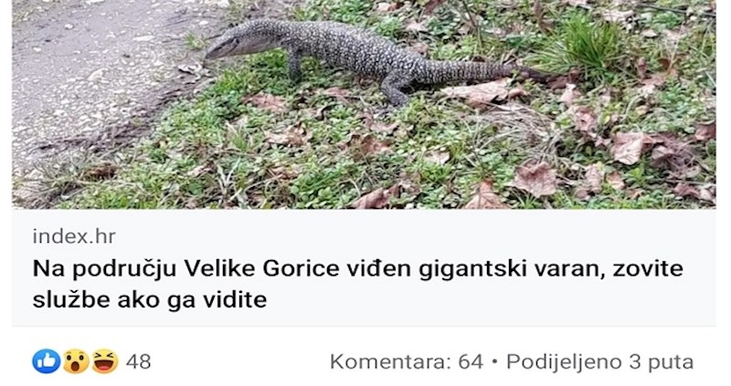 Komentar na upozorenje o varanu viđenom kod Velike Gorice izazvao je salve smijeha na Fejsu, hit je