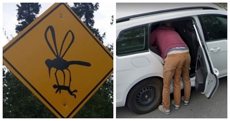 12 bizarnih prizora koji su ovim ljudima zapeli za oko i morali su ih podijeliti sa svima