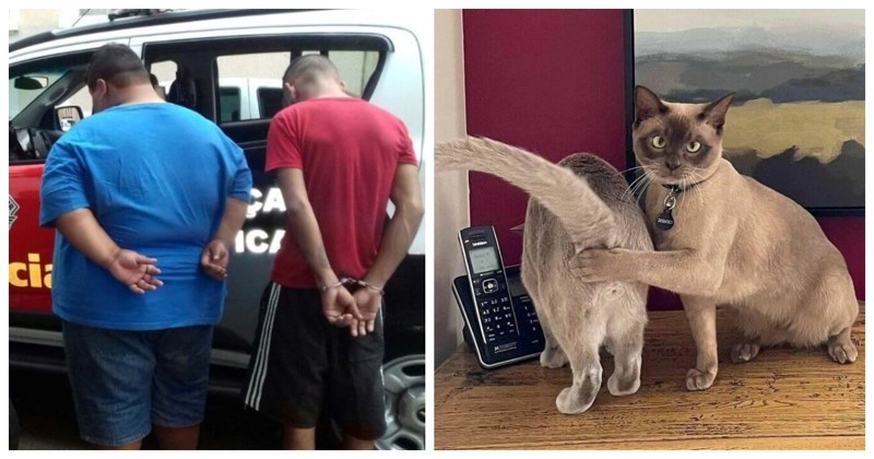 13 puta kada su ljudi uhvatili nesvakidašnje prizore i morali su ih pokazati svima