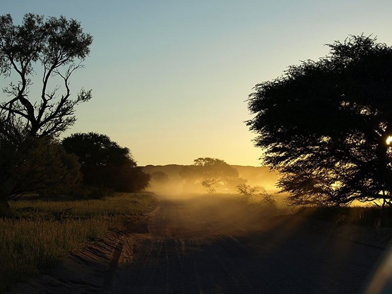 Prva transplantacija ljudskog srca izvedena je u Južnoafričkoj Republici