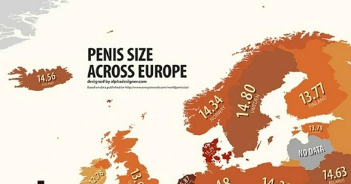 Mapa prikazuje prosječnu veličinu muškog spolnog organa među Europljanima, evo kako stoje Hrvati