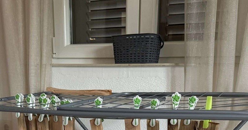 Ovaj Dalmatinac izazvao je salve smijeha na mrežama fotkom svog sušila, morate vidjeti