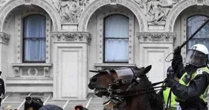 Prizor s jednog prosvjeda dijeli se Fejsom, odmah ćete vidjeti zašto je takav hit