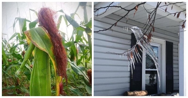 12 zavaravajućih fotki koje nam je priredila majka priroda: Neke su prava umjetnička djela