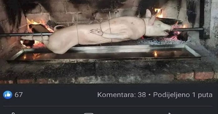 Fotka ovog odojka na ražnju apsolutni je hit u regiji zbog komentara jednog tipa, morate vidjeti!