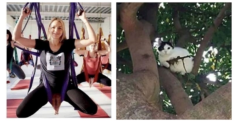 20+ presmiješnih fotki na kojima se definitivno ne događa ono što ste prvo pomislili