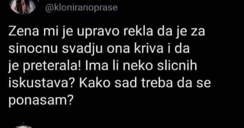 Pobijedio je u raspravi sa ženom i nije znao kako se dalje ponašati. Onda je dobio urnebesne upute