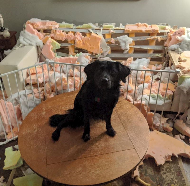 6. Nećete vjerovati što se dogodilo dok vas nije bilo