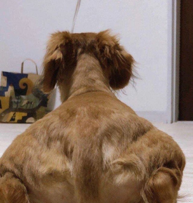 9.