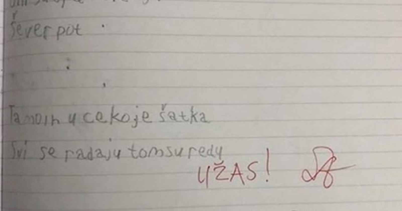 Kad je mama vidjela što je učiteljica napisala njenom djetetu, napisala joj je poruku u bilježnici