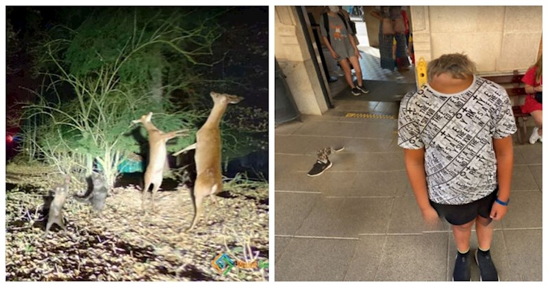 12 puta kada je Google Earth uhvatio najzabavnije i/ili najbizarnije kadrove ikad