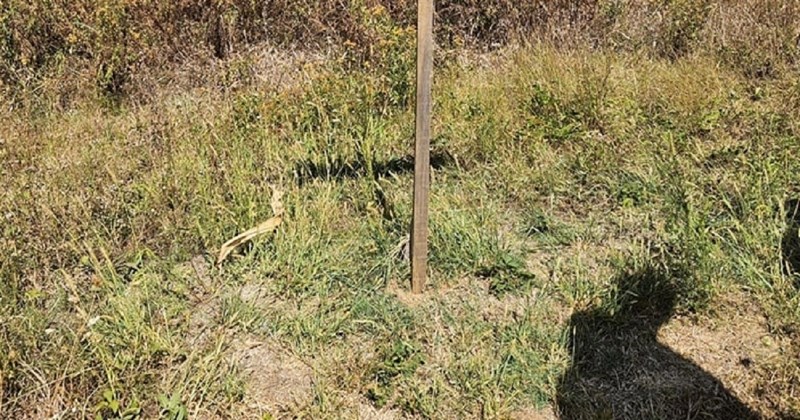 Putokaz fotkan na jednom zemljištu hit je na Fejsu, posebno će biti zabavan ekipi s mora