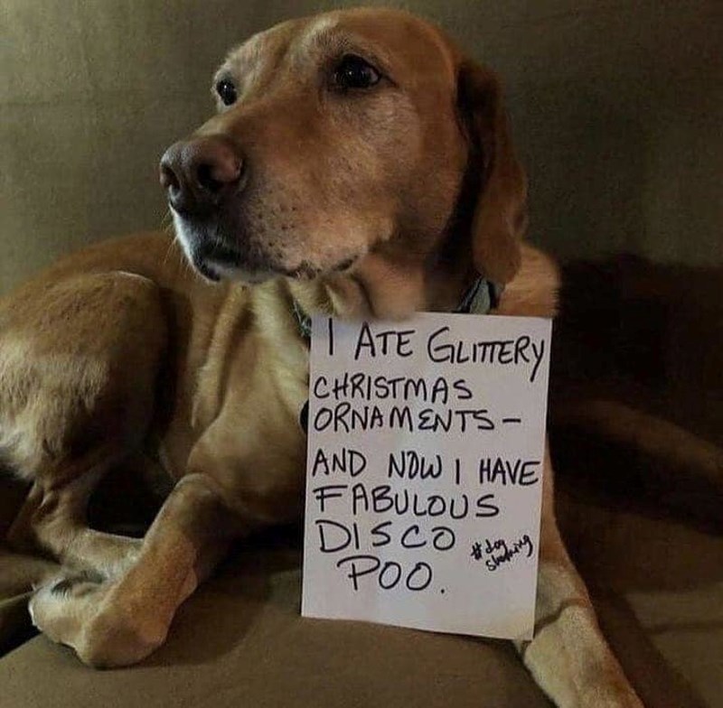 "Pojeo sam svjetlucave božićne dekoracije i sada mi je kakica kao disko kugla"