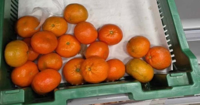 Natpis iznad mandarina u jednom našem dućanu širi se Fejsom, odmah ćete vidjeti zašto