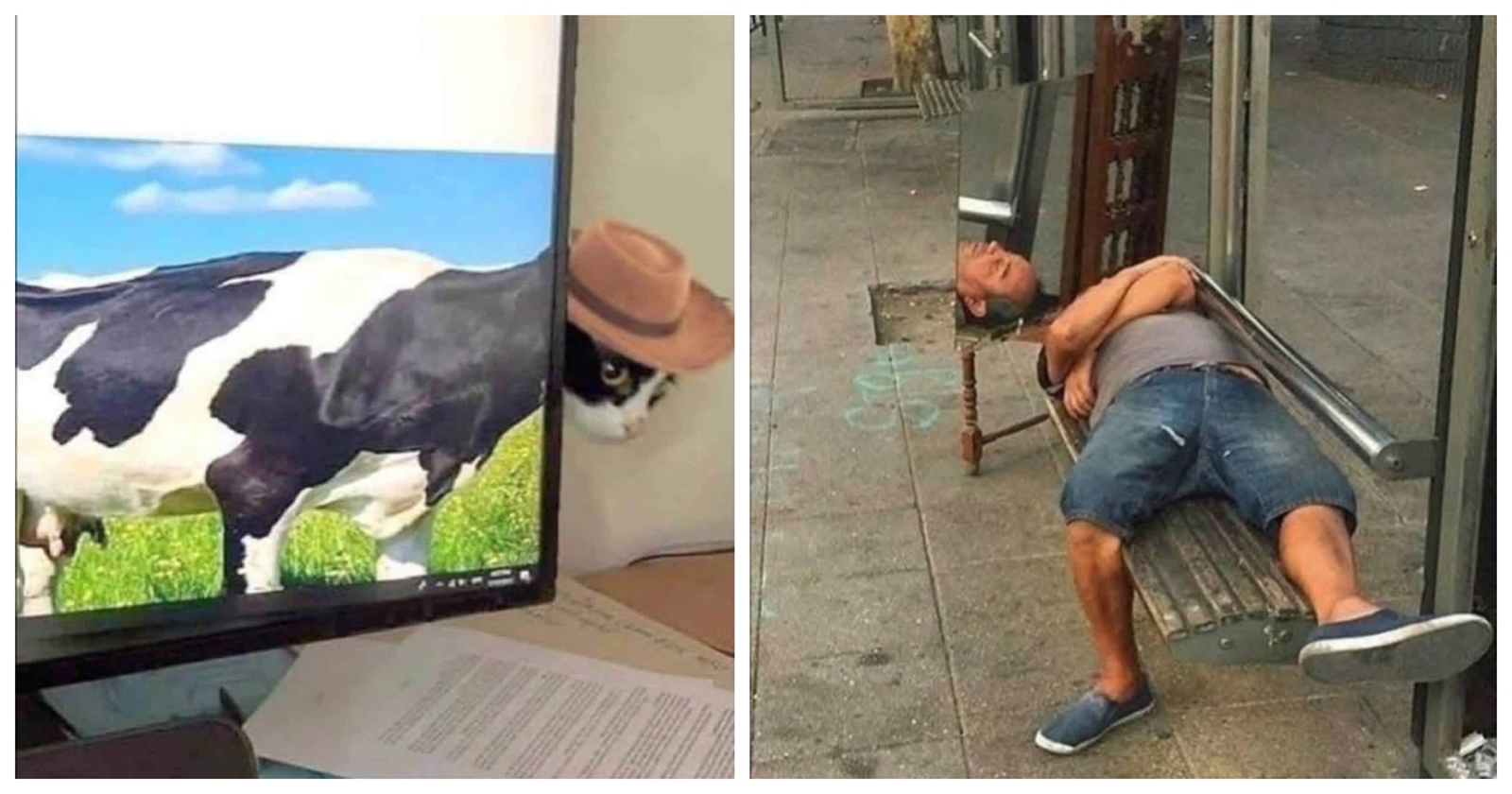 11 zbunjujućih fotki zbog kojih ćete se pošteno zapitati što se ovdje zapravo događa!
