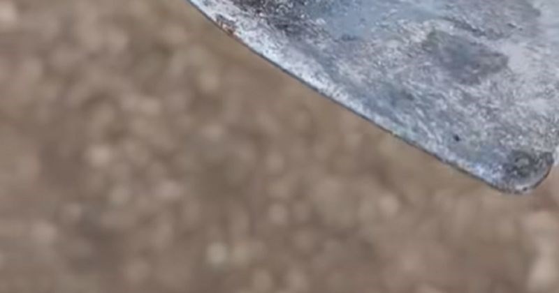 Dalmatinac je kopao vrt i našao nešto prekomično, obavezno uključite zvuk dok gledate video