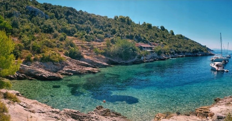 Fora o Dalmatincima koji su se preselili u Zagreb širi se mrežama, totalno je pogođena