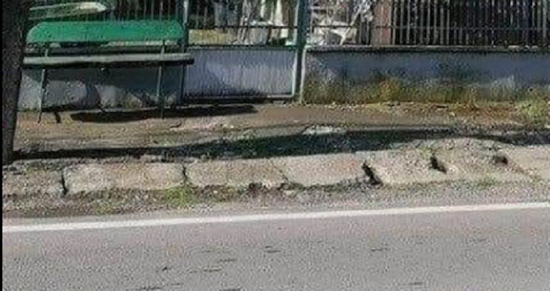 Prizor iz Srbije nasmijao je cijelu regiju, morate vidjeti čime su ovi ljudi "ukrasili" dvorište