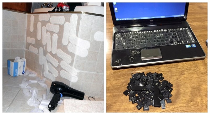 15 malih zločina koji su ostali nekažnjeni jer su kriminalci bili previše šarmantni