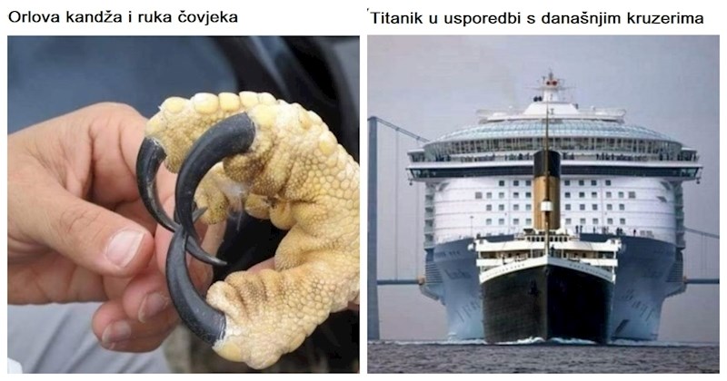 14 zanimljivih fotografija usporedbi koje će vas fascinirati, ali i poprilično zamisliti