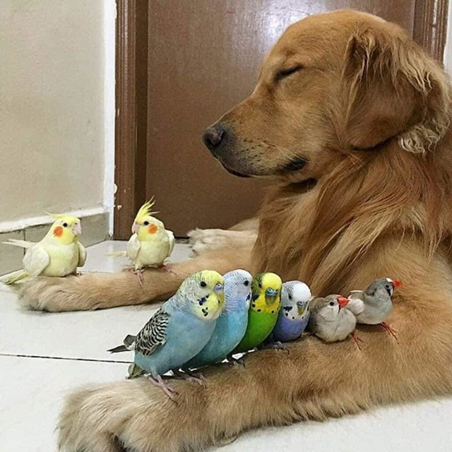 10.