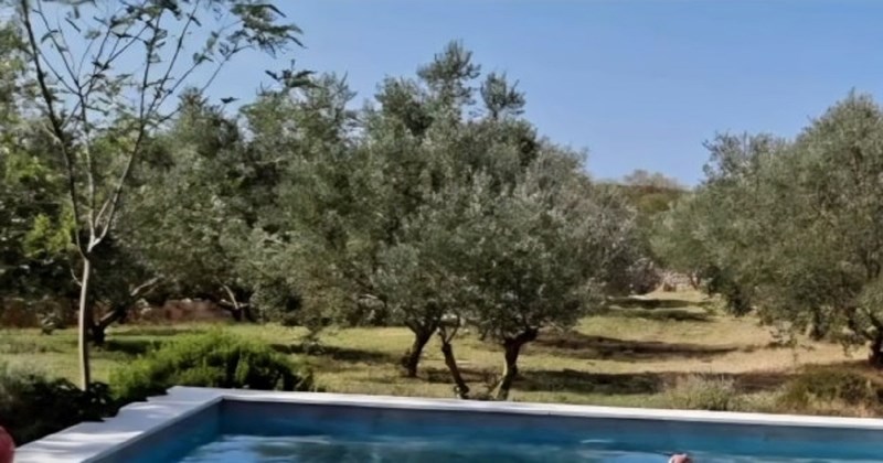 Simpatičan prizor iz vile u Dalmaciji hit je na Fejsu, pogledajte tko se uvalio gostima na bazen