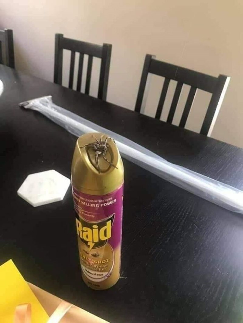 Ono kad sredstvo omami pauka na krivom mjestu