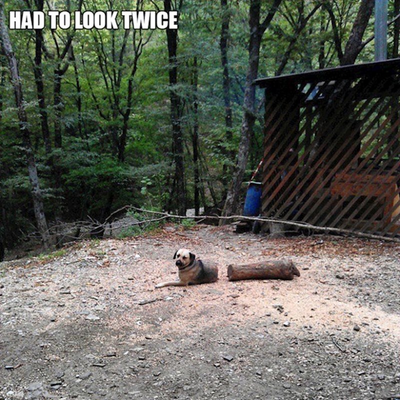 Morao je dvaput provjeriti da se uvjeri da je peso OK