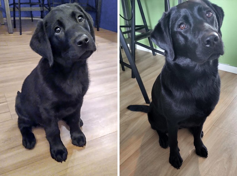 Ljepotan pozira u istoj pozi danas i prije godinu dana