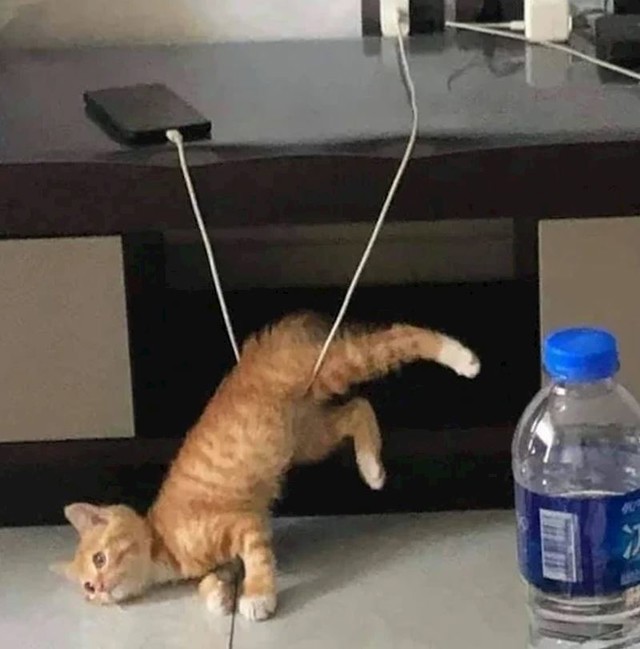 12.