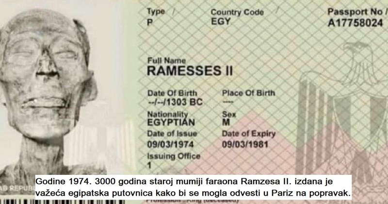 13 jezivih, ali zanimljivih činjenica o kojima ćete razmišljati još dugo nakon što ih pročitate