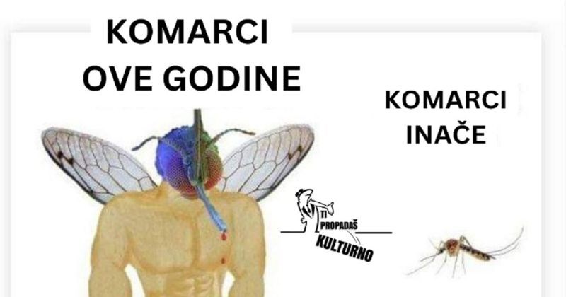 Fora o komarcima nekad i sad nasmijala je ekipu na mrežama, ovo je totalna istina