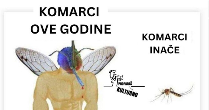 Fora o komarcima nekad i sad nasmijala je ekipu na mrežama, ovo je totalna istina