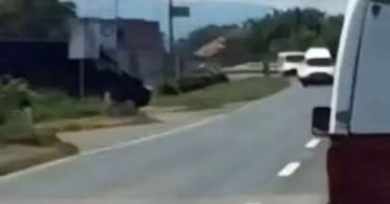 Reklama na kombiju zbunila je i vozače i pješake, svi su pazili da ne rade prekršaje radi ovog