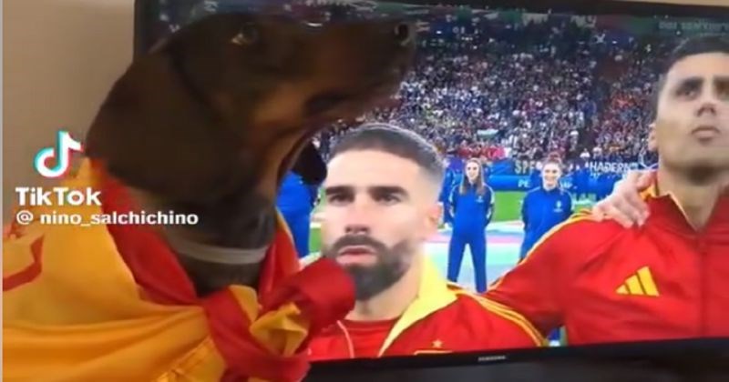 Snimka najvećeg navijača Španjolske na Euru najslađe je što ćete danas vidjeti, genijalan je!