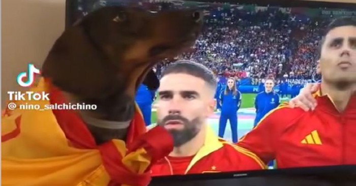 Snimka najvećeg navijača Španjolske na Euru najslađe je što ćete danas vidjeti, genijalan je!