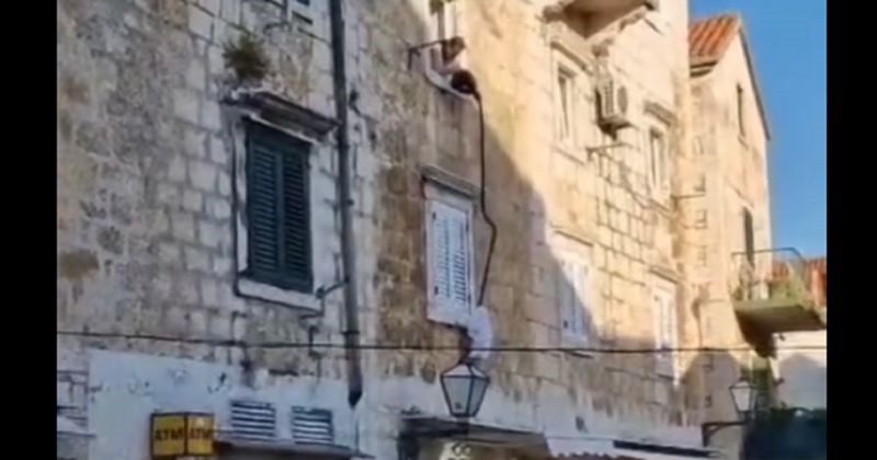 Snimka iz Makarske hit je na Fejsu, ono što radi ova žena istovremeno je genijalno i urnebesno