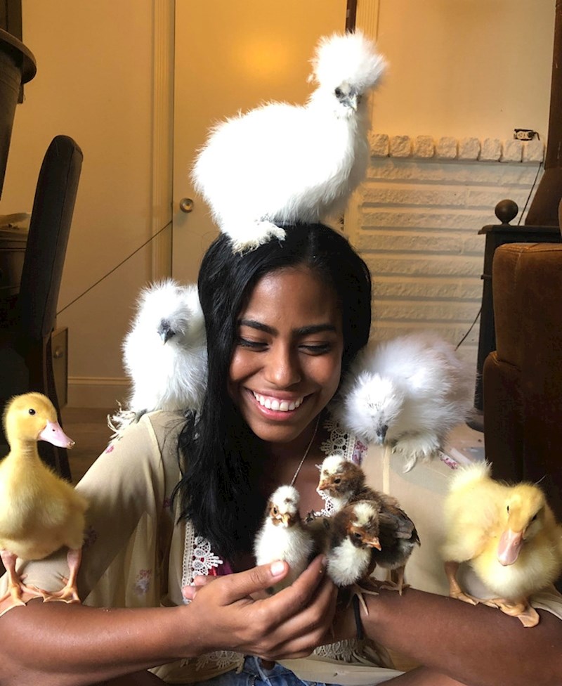 Samo ljubav, nema kakice!