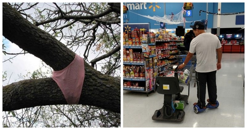 20+ fotki zbog kojih će vam se doslovno pojaviti upitnici iznad glave