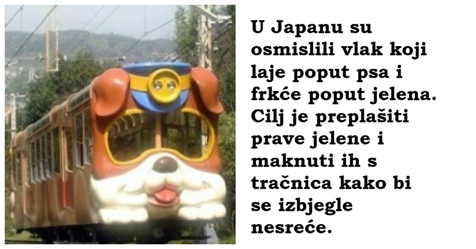 15 fascinantnih činjenica koje će vam pokazati koliko je svijet zapravo čudno i predivno mjesto